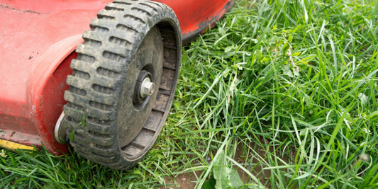 Used Lawn Mower Buying Guide