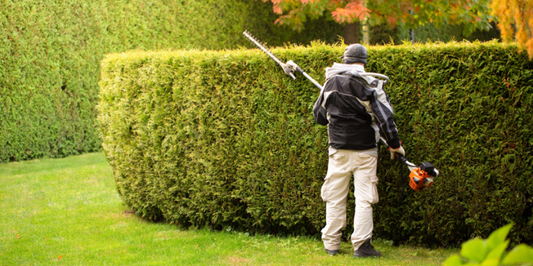How To Operate a Hedge Clipper